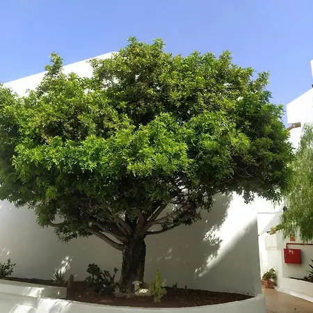 Garden Costa Adeje